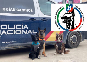 dia-mundial-perro-trabajo-heroes-cuatro-patas