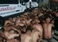 imagenes-inmigrantes-semidesnudos-marruecos-entrada-2