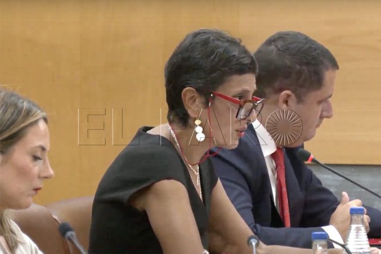 luz-verde-canal-denuncias-corrupcion-reproches-retraso