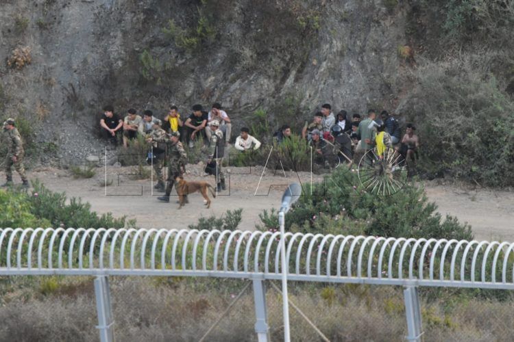 nuevo-intento-entrada-inmigrantes-valla-31