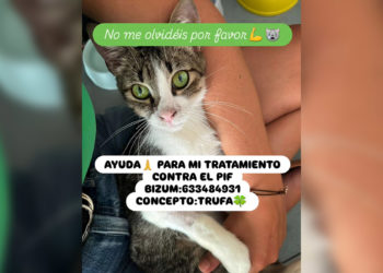 trufa-ayuda-tratamiento