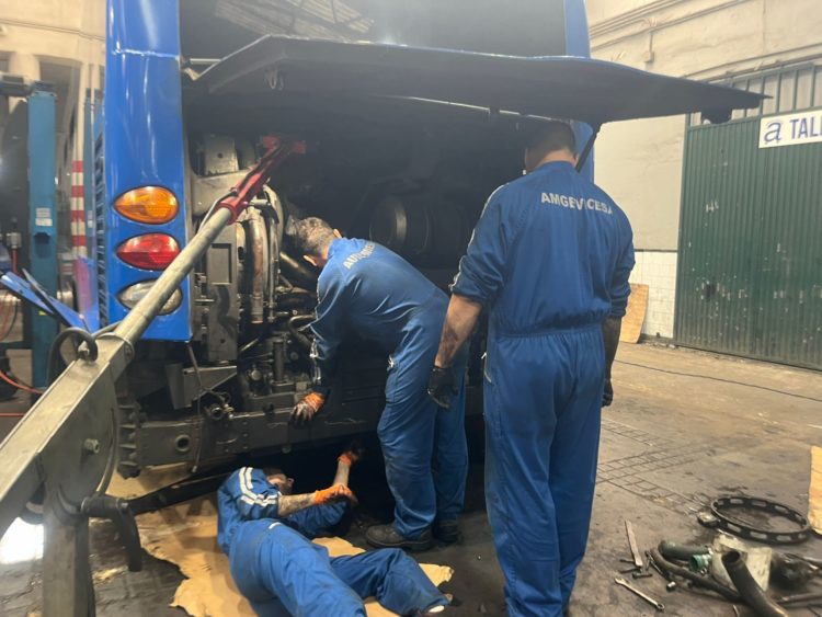 autobuses-amgevicesa-mercedes-citaro-hybrid-3