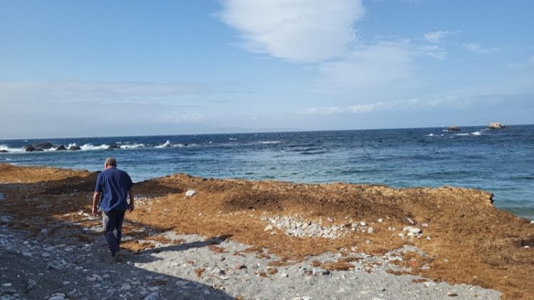 barriada-benzu-segundo-plano-002