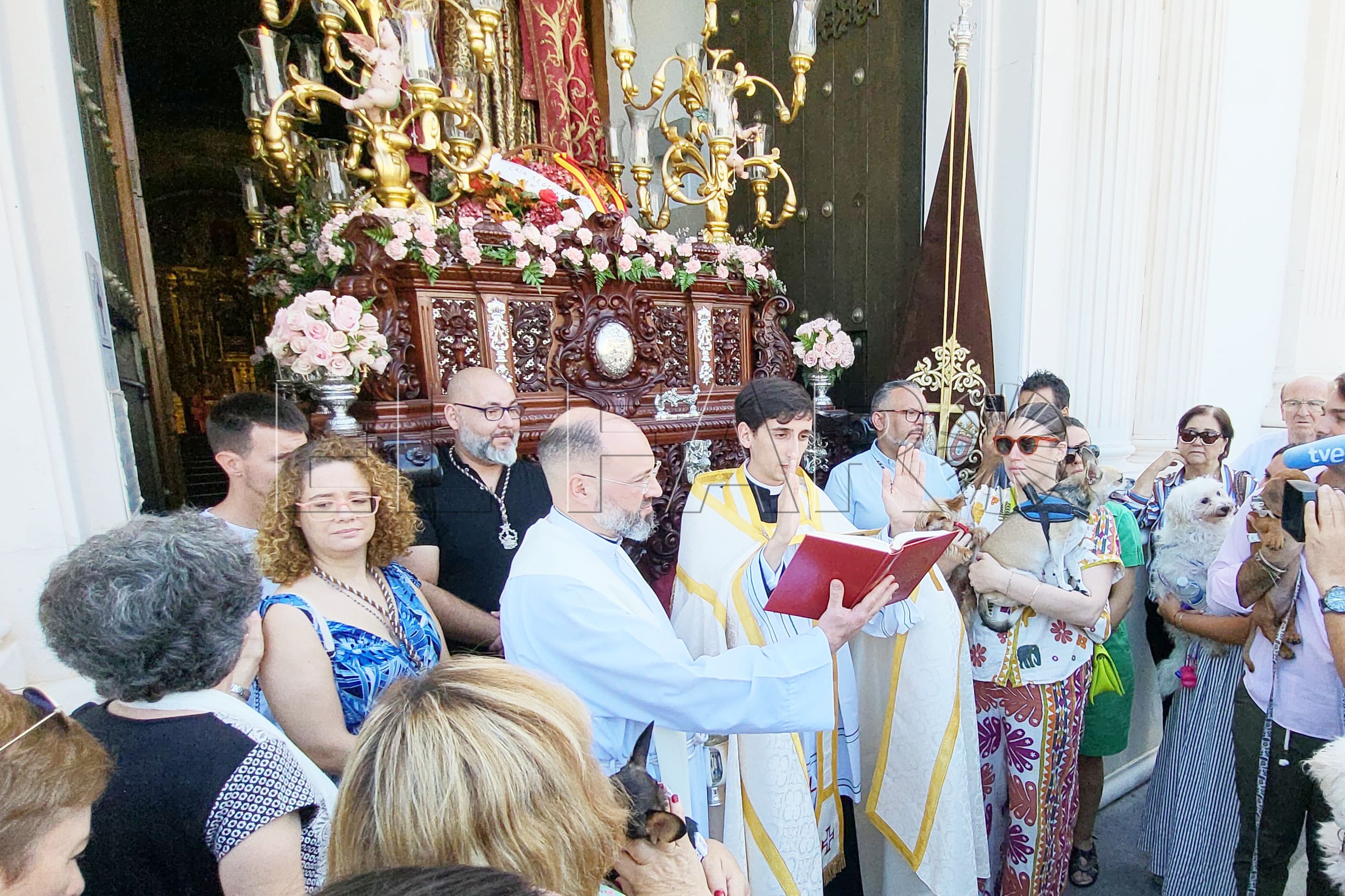 bendicion-mascotas-san-daniel-testigo-007-principal