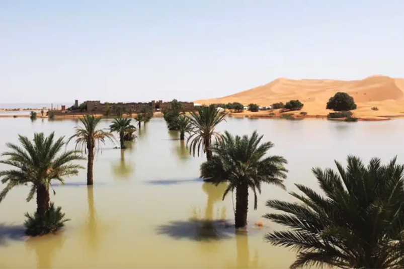 desierto-sahara-inundado-lluvias-espectaculo