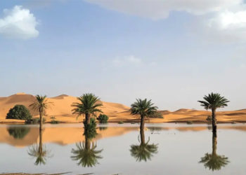 desierto-sahara-inundado-lluvias-espectaculo