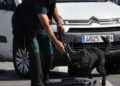 drago-perro-guardia-civil-deteccion-explosivos-22