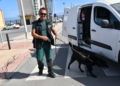 drago-perro-guardia-civil-deteccion-explosivos-23