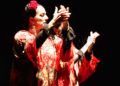 espectaculo-escuela-danza-maria-jose-lesmes-abrazo-flamenco-11