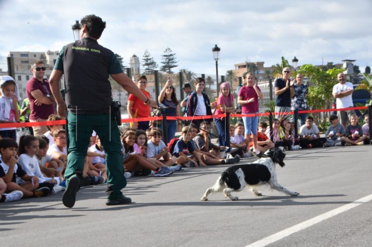 exhibicion-guardia-civil-escolares-6