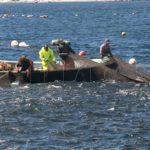 levanta-pescado-trabajo-almadrabeta-capitan-marineros-buzos-20