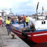 levanta-pescado-trabajo-almadrabeta-capitan-marineros-buzos-5