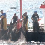 levanta-pescado-trabajo-almadrabeta-capitan-marineros-buzos-62