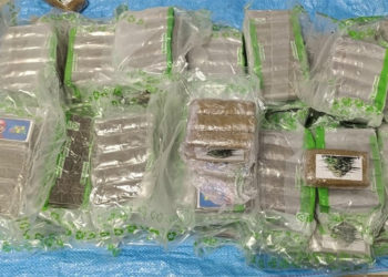 medios-avanzados-frontera-detectar-hachis-detenidos