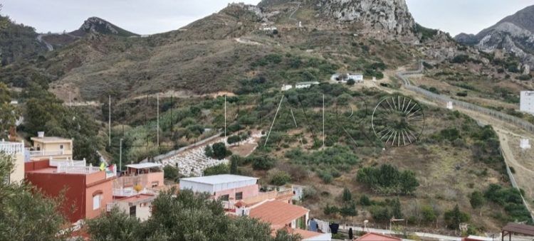 presion-migratoria-paraliza-visitas-cementerio-beliones-004