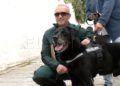 adopcion-drago-perro-guardia-civil-1