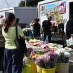 cementerio-santa-catalina-dia-santos-difuntos-2024-26