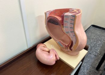 clases-preparacion-parto-equipar-conocimiento-madres-padres-ingesa-003