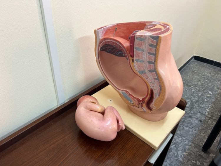 clases-preparacion-parto-equipar-conocimiento-madres-padres-ingesa-003