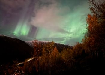 colaboracion-septem-nostra