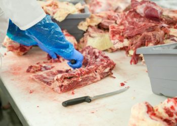 llegada-carne-fresca-importada-españa-marruecos-vaca-oveja