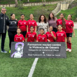 presentacion-cartel-dia-internacional-violencia-genero-delegacion-gobierno-federacion-futbol-4