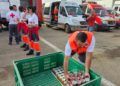 voluntarios-cruz-roja-ceuta-dana-valencia-alfafar-3