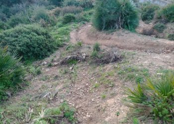 daubma-denuncia-practicas-deportivas-perjudican-medio-ambiente-4