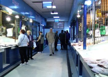 mercado-central-pescaderia-compras