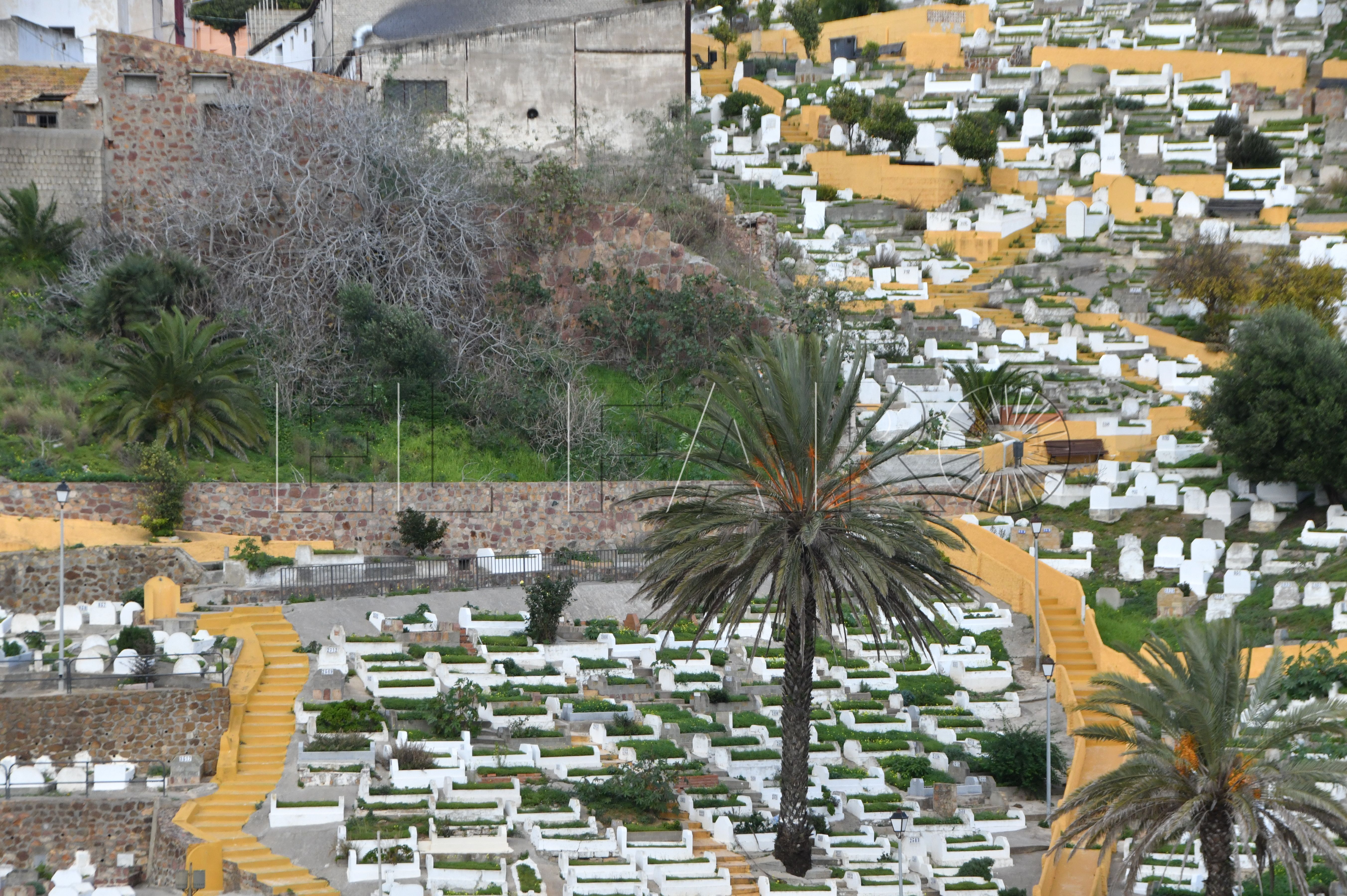 mdyc-denuncia-falta-espacio-cementerio-sidi-embarek
