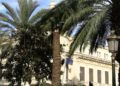 palmera-plaza-africa-borrasca-herminia-1