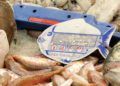 pescaderos-mercado-central-apoyan-aduana-comercial-28