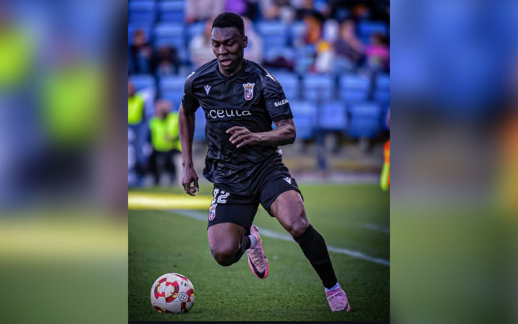 mercado-invernal-satisfecho-ad-ceuta