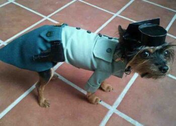 ojo-disfrazarse-guardia-civil-carnaval-puede-salir-caro