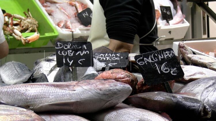 pescado-marruecos-mismo-precio-hasta-grandes-cantidades