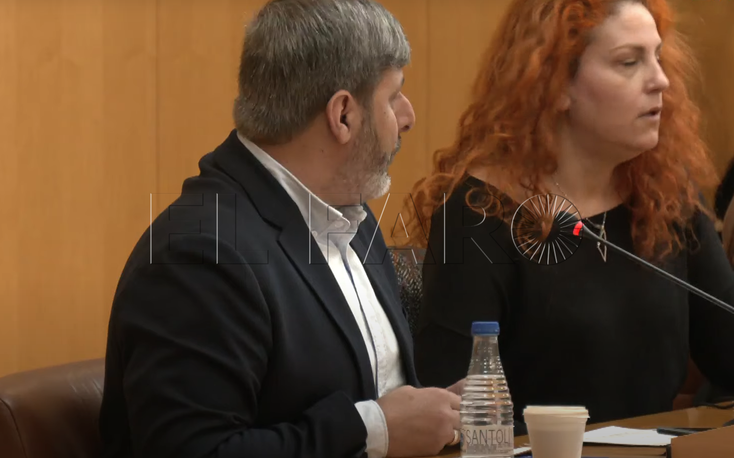 pleno-17-febrero-2025-4