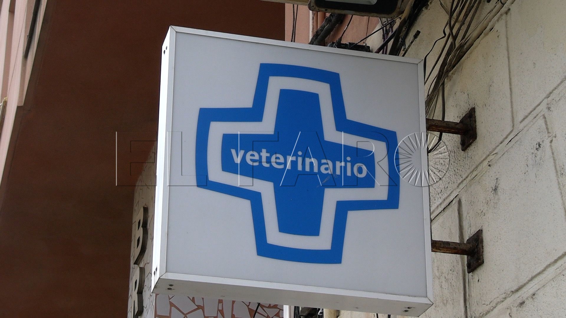 veterinarios-echan-cerrojo-suman-manifestacion-9