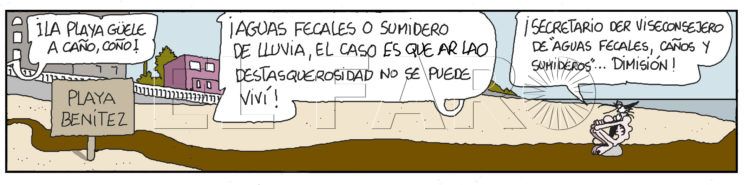 vineta-miercoles-5-febrero-2025