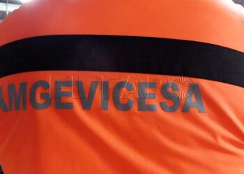 amgevicesa