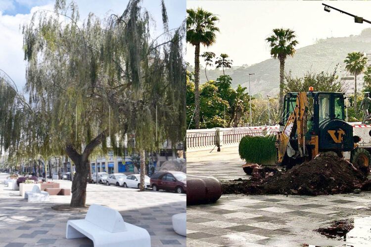 adios-sauce-lloron-marina-reacciones-003-portada