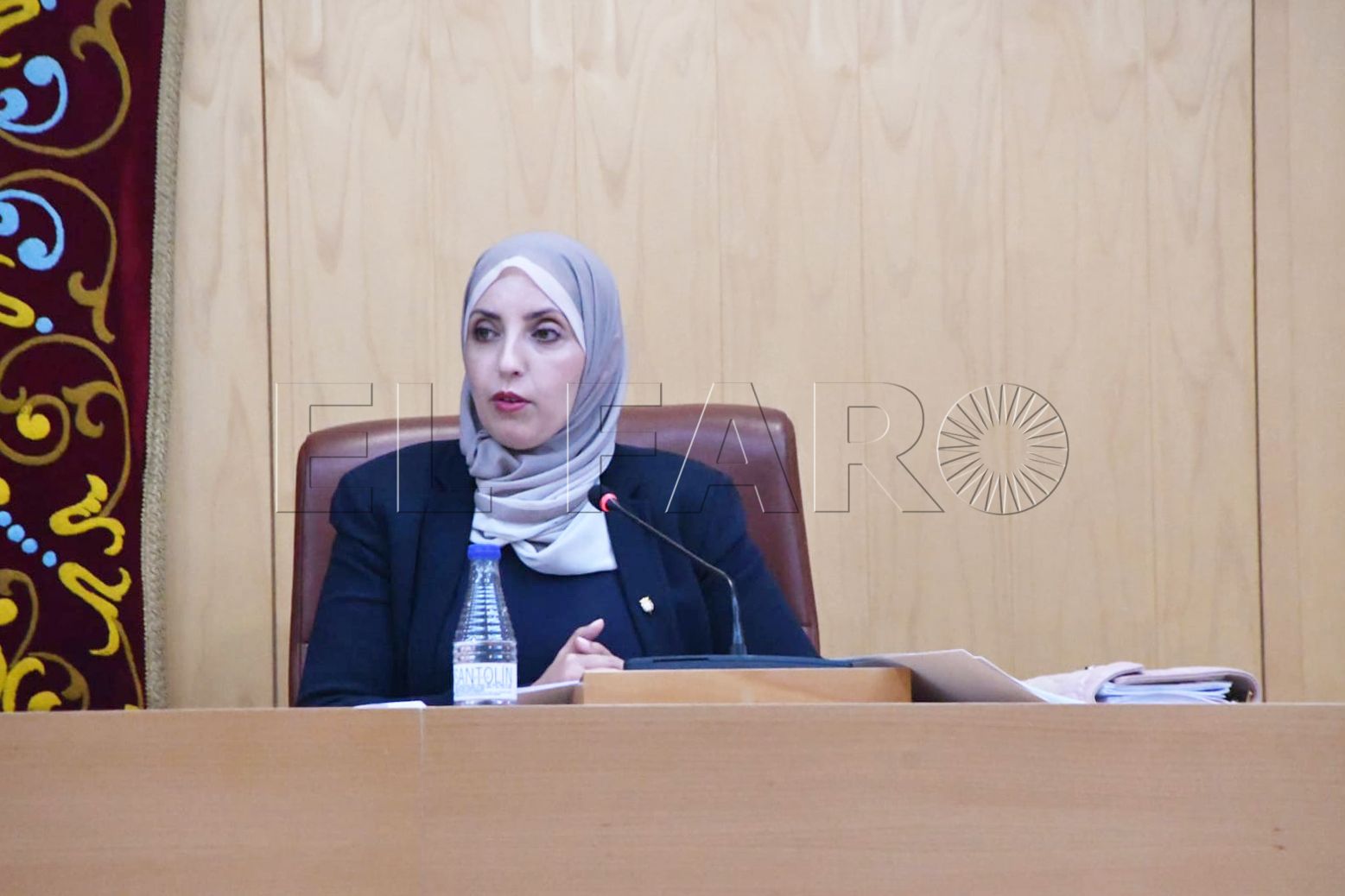 fatima-hamed-mdyc-pleno-30-abril-2025-2