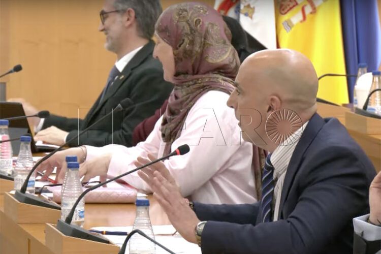 francisco-jose-ruiz-vox-pleno-marzo-2025