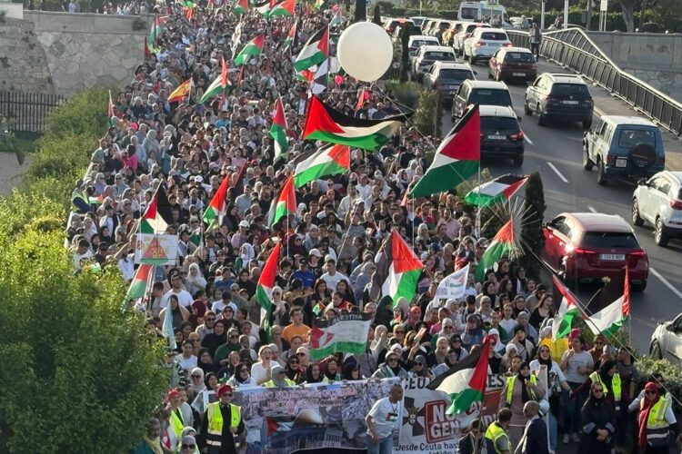manifestacion-palestina-ceuta-130