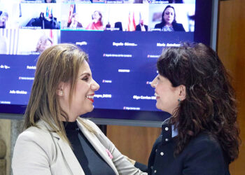 sectorial-igualdad-millones-violencia-genero