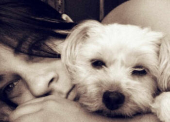 Kira-Movimiento-Dignidad-Animal