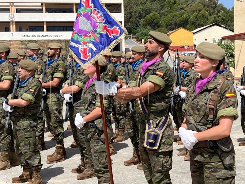 Regimiento-Ingenieros-7-Parada-Militar-San-Fernando