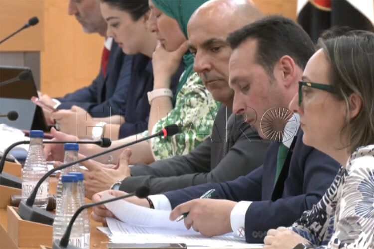 pleno-rechaza-dos-propuestas-vox-patrimonio-debate-estado-ciudad-2025