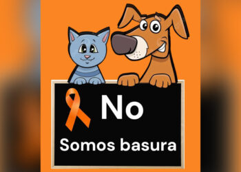 ceuta-es-espana-se-mire-donde-se-mire