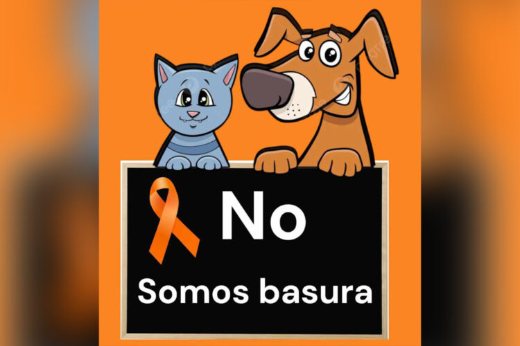 ceuta-es-espana-se-mire-donde-se-mire