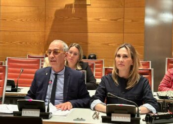 cristina-diaz-pp-senado